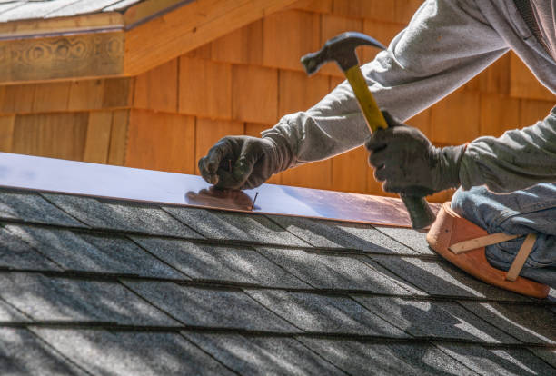 Best Roof Leak Repair  in Chebanse, IL