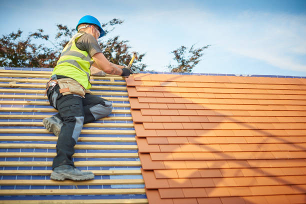 Best Green or Eco-Friendly Roofing Solutions  in Chebanse, IL