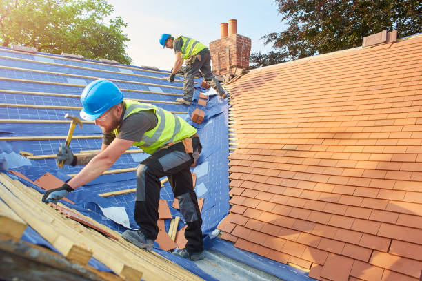 Best Gutter Installation and Repair  in Chebanse, IL